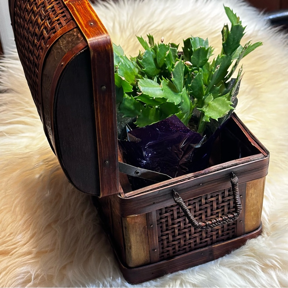 Chest planter with plastic lining and embossed detail